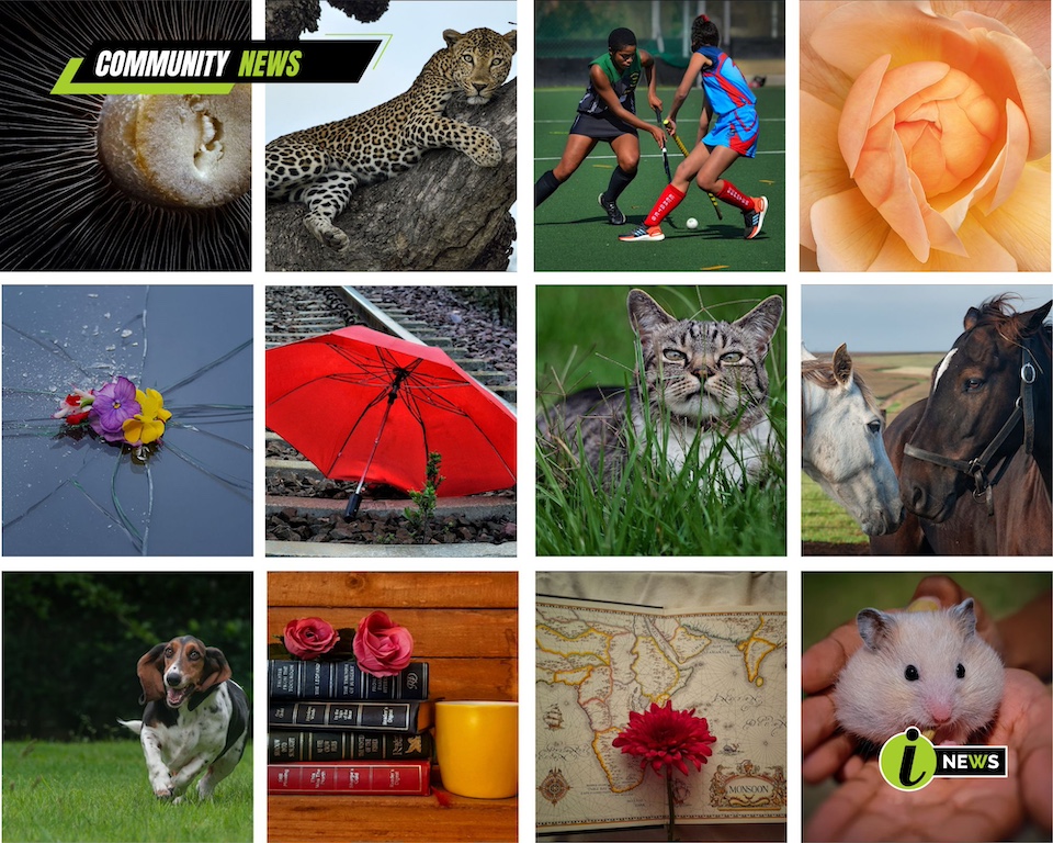 Ermelo Youth Photographers Excel in the International Youth Open Cup of Russia